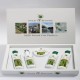 Box Beauty Care Aloe-Vera